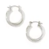 Small Twisted Hoop Earrings